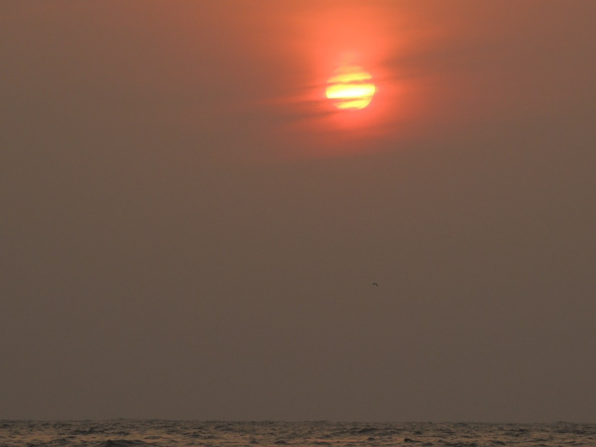 Sunsets on The Western Coast of&nbsp;India